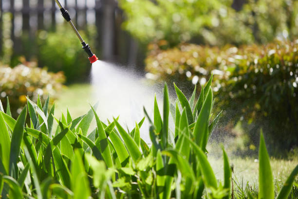 Tamper-Resistant Bait Stations for Rodents in North Olmsted