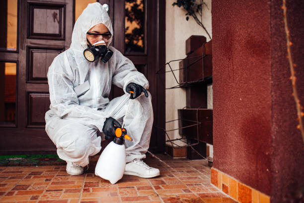 Attic and Crawl Space Rodent Treatment in North Olmsted