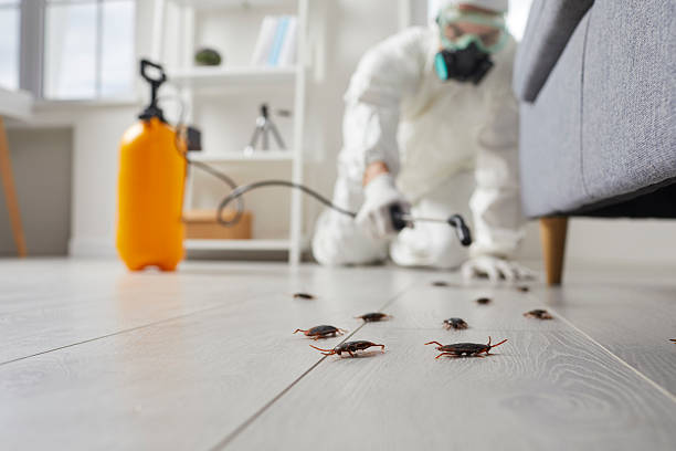 Commercial Rodent Management in North Olmsted
